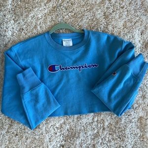 Oversized Champion Cropped Crewneck